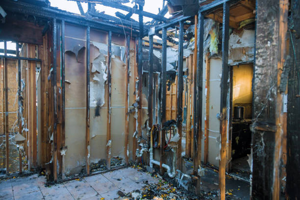 Professional Fire Damage Removal technician working in Cedar Ridge, CA